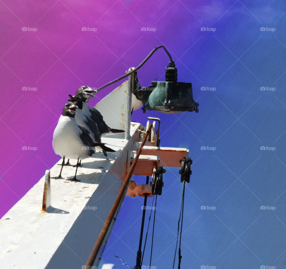 ocean sky birds sea by lightanddrawing