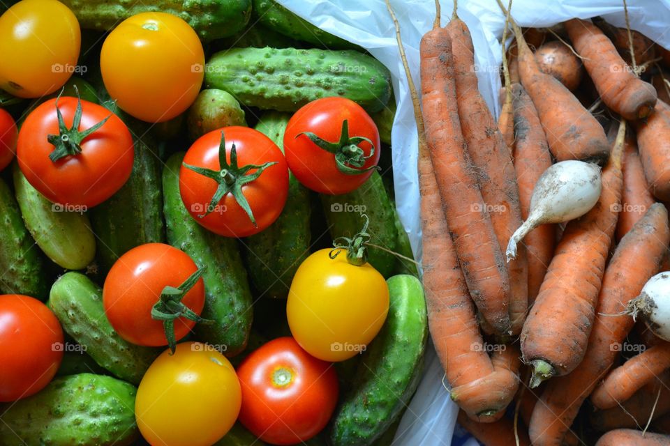 High angle view of multi colored vegetables