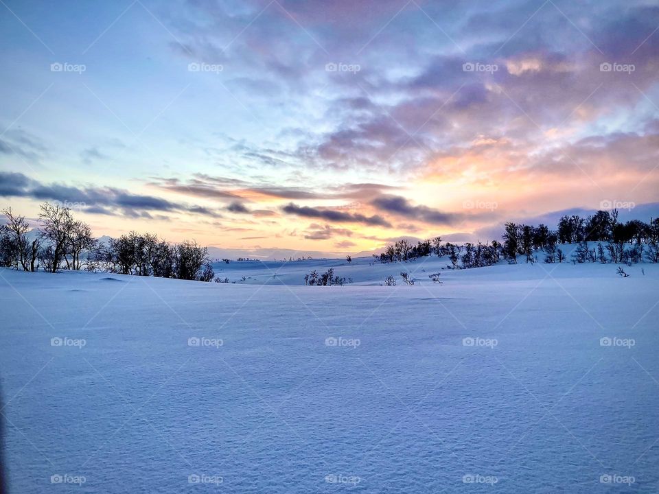 Winter view