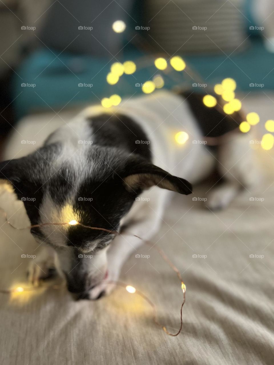 Playing around with lights 