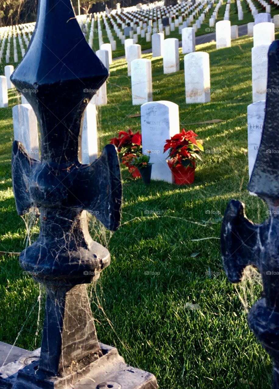 Veteran cemetery seen through iron fence covered with cobwebs. 