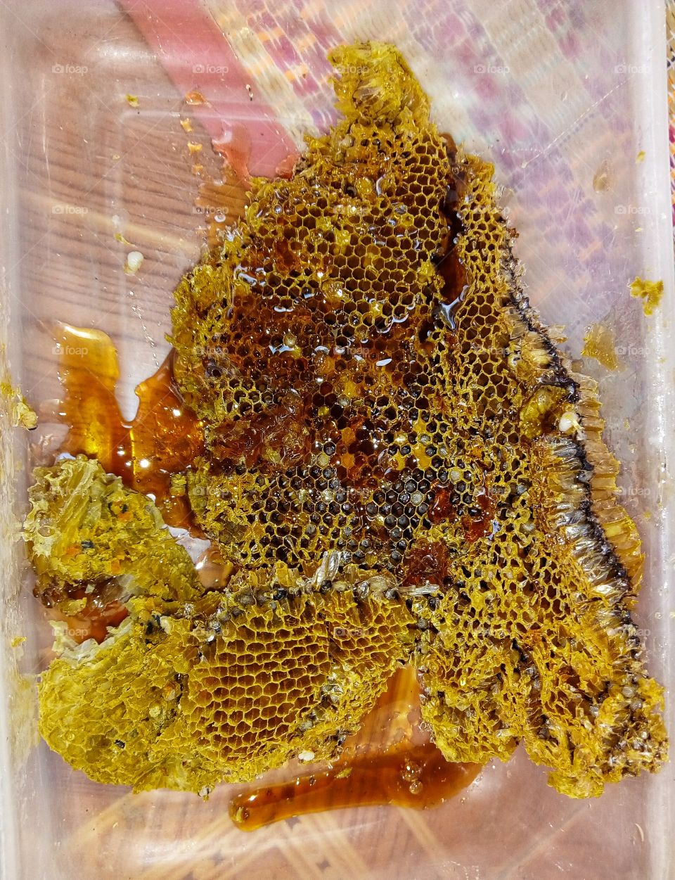 honeycomb