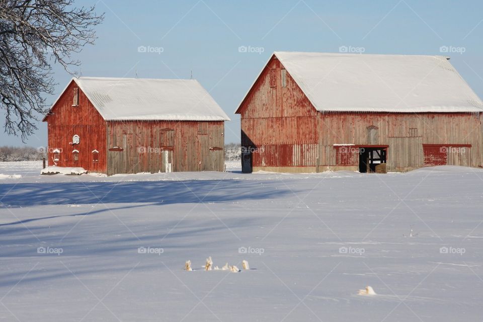 barn