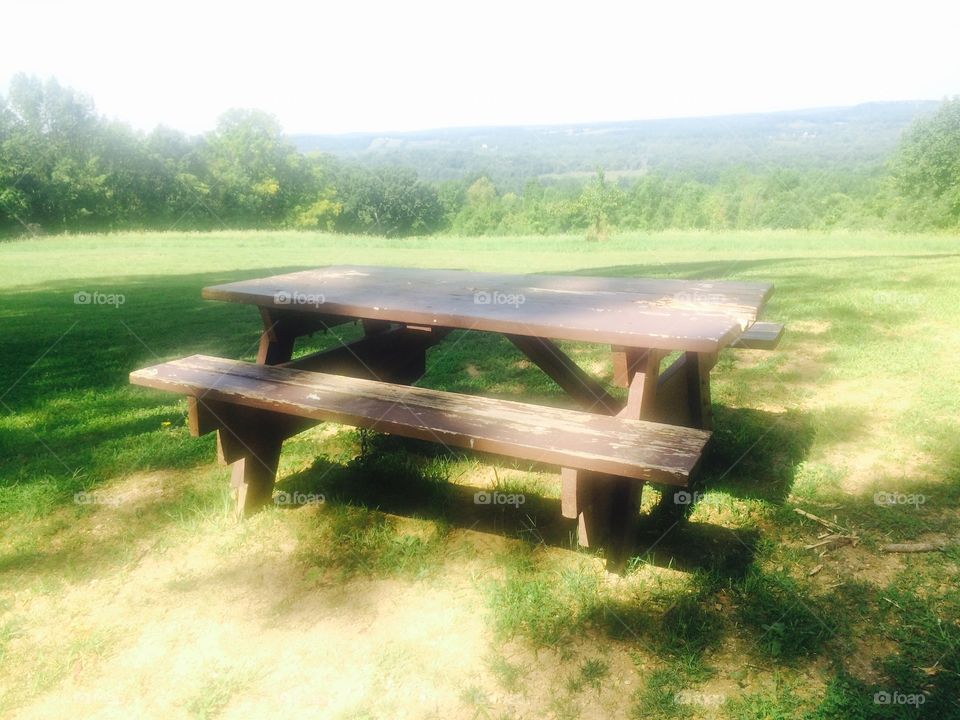 The picnic table