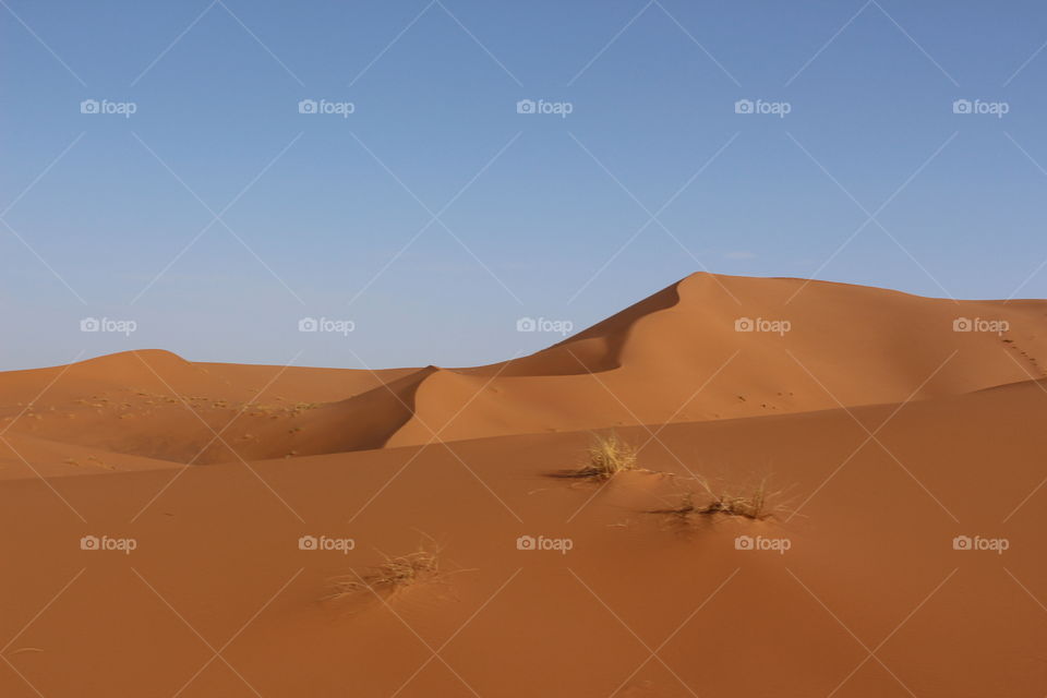 Scenics view of desert