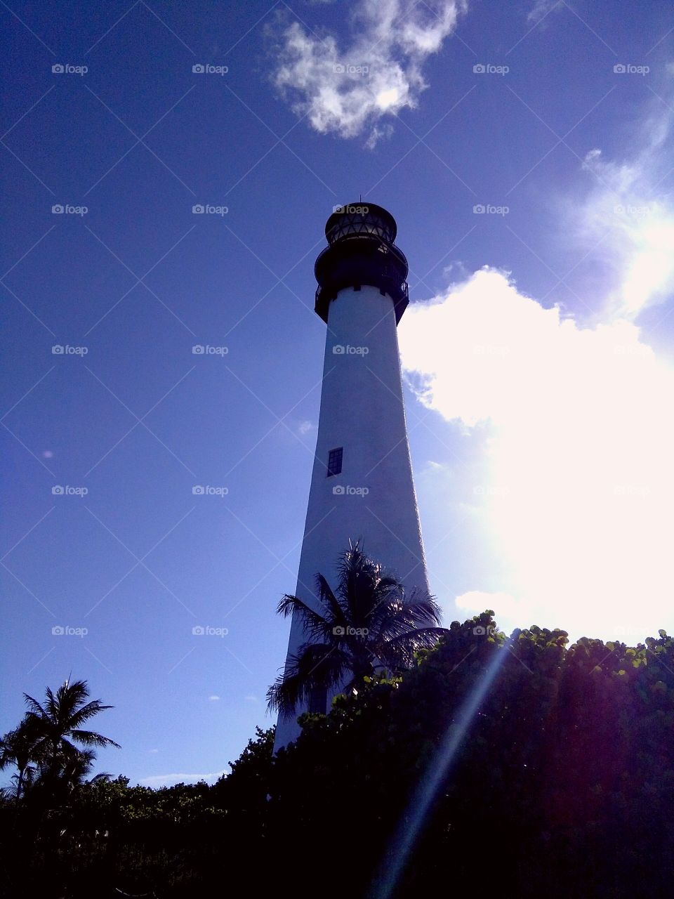 lighthouse, palm tree, and sky,