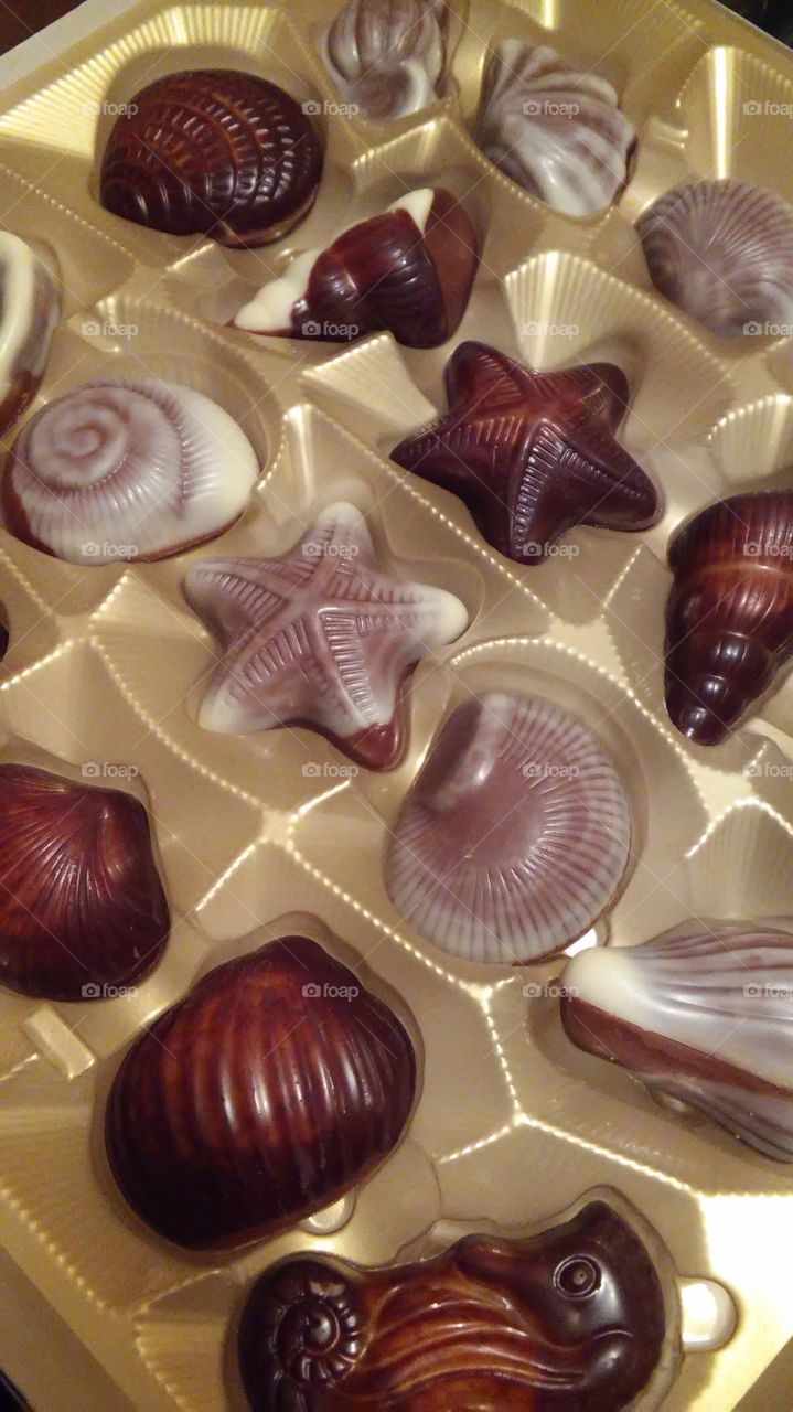 chocolate sea