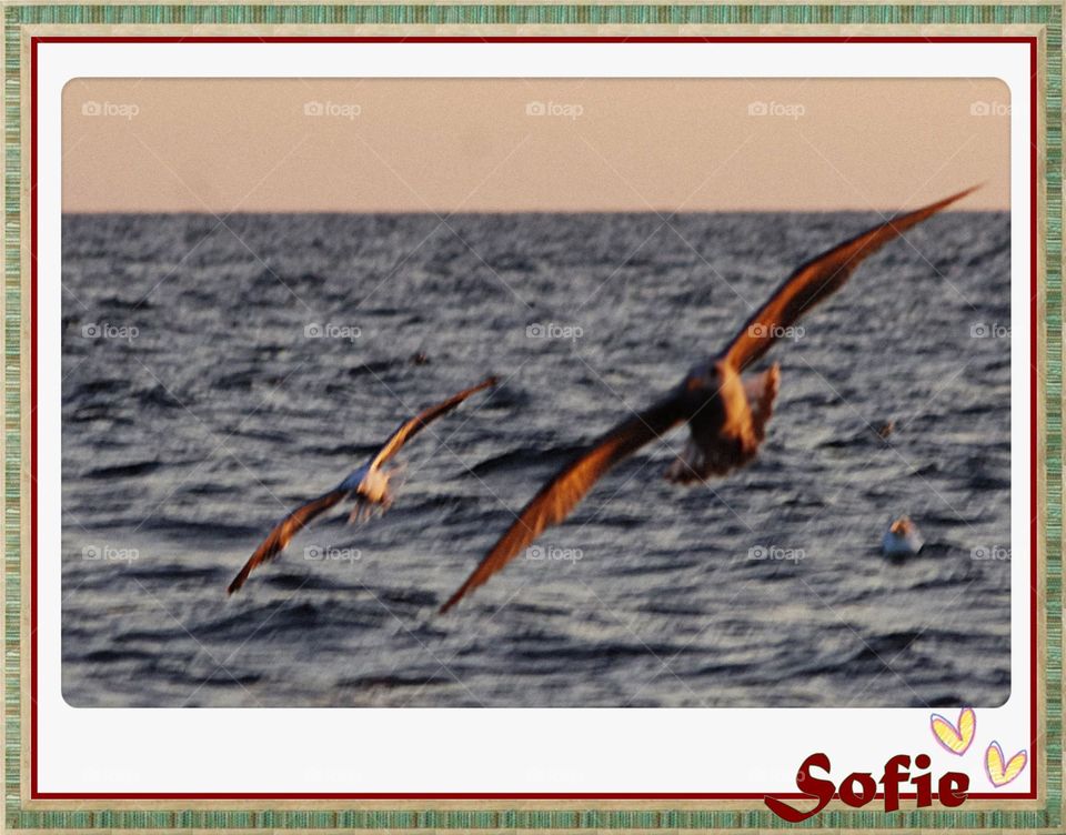Îles-de-la-Madeleine ~ Magdalen Islands - 02