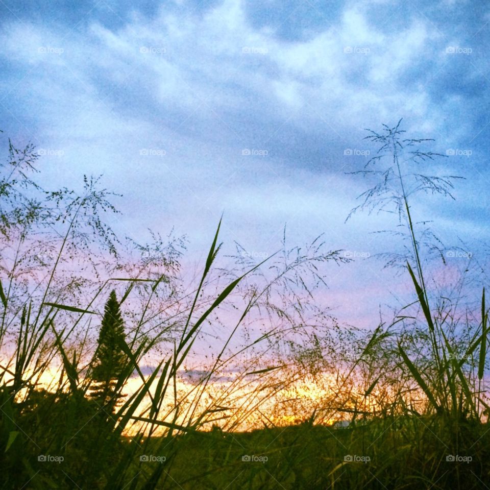 🌅Despertando, #Jundiaí.
Apesar do #amanhecer carrancudo, ainda há alguma beleza. Certo?
Ótima #SextaFeira a todos.
🍃