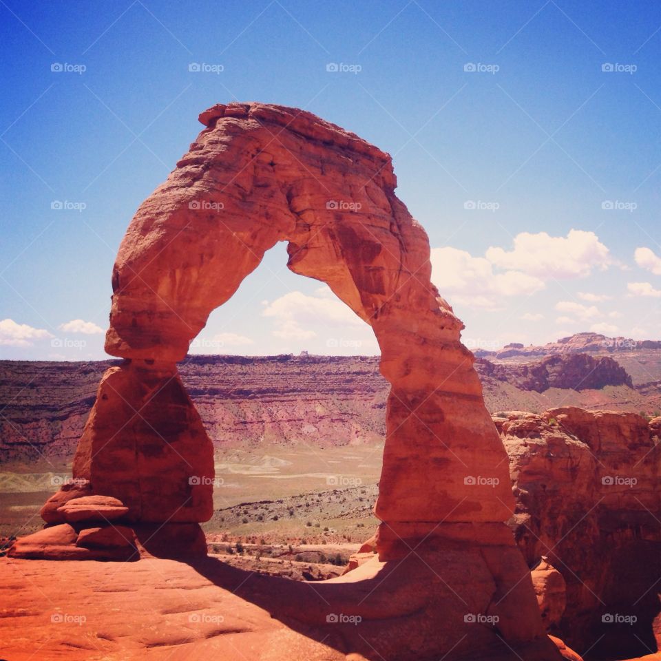 The arch
