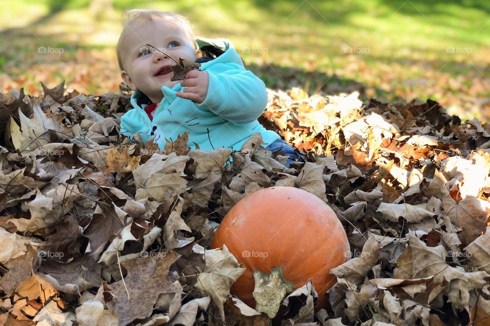 Fall time fun. 