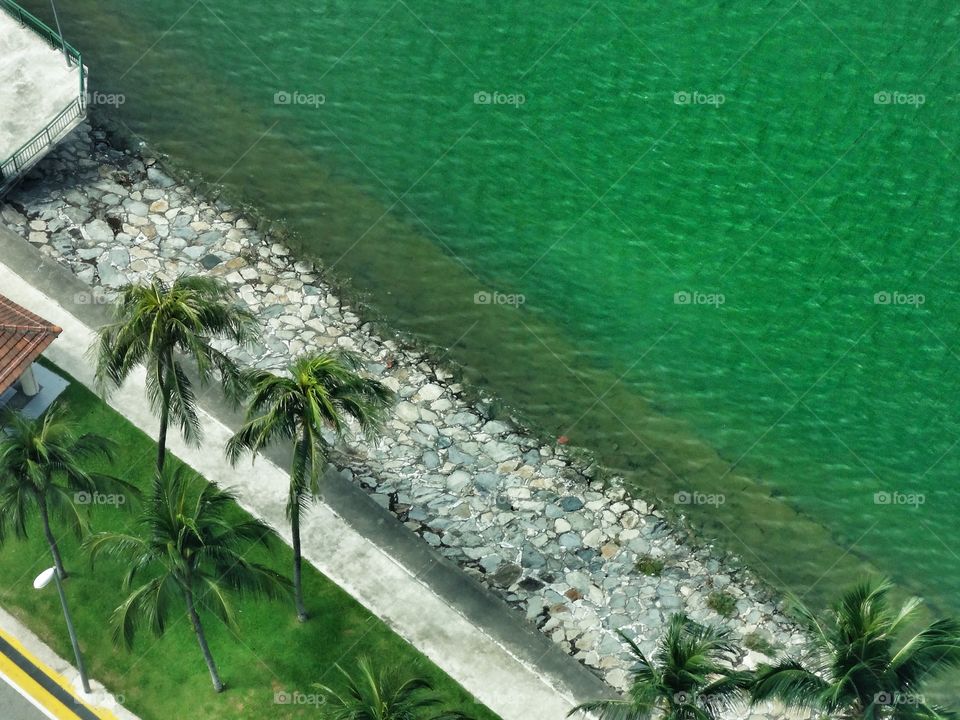 Scenic view of beach