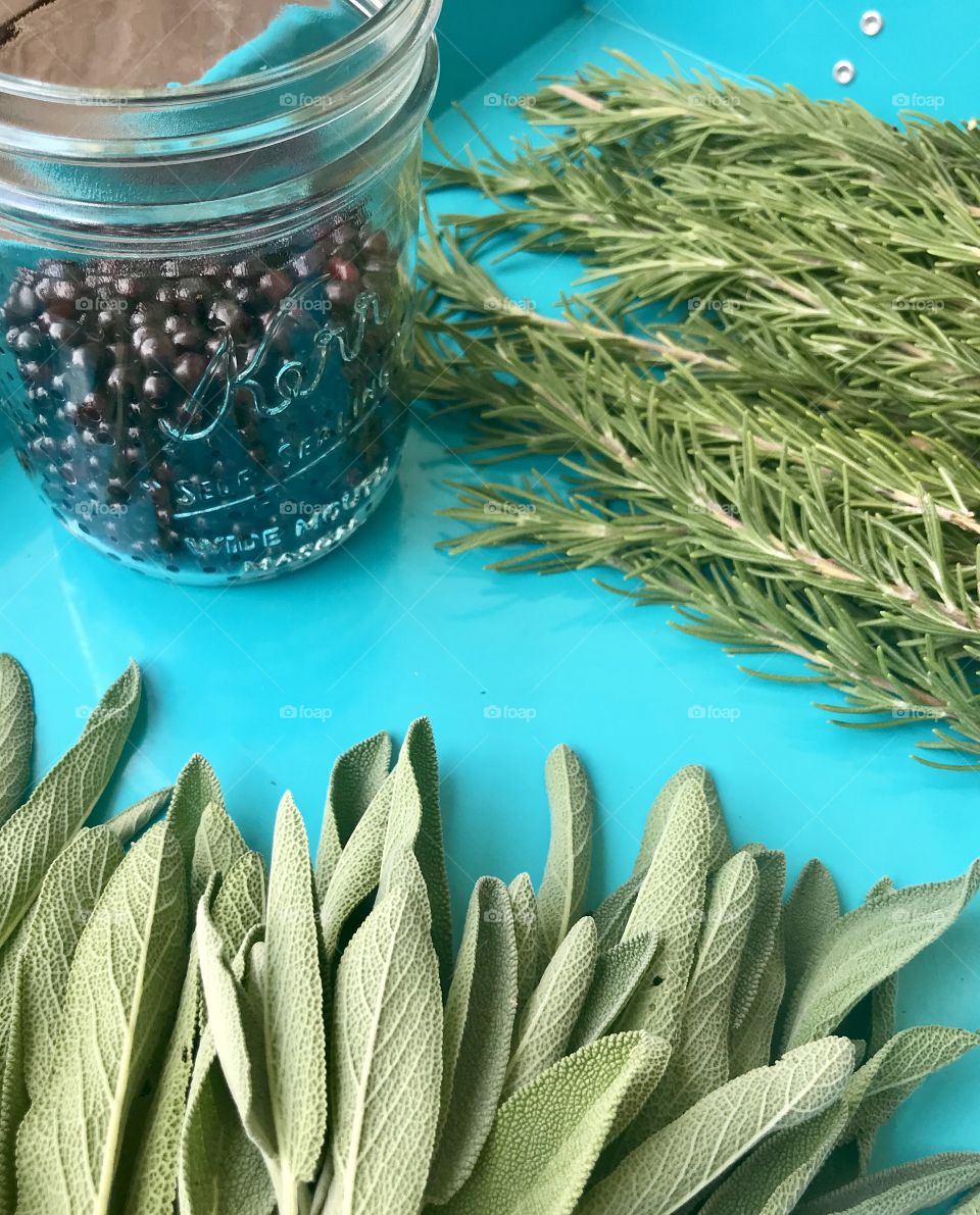Gathering Materials for Tincture Preparation. Gathering fresh herbs and fruit in preparation for making medicinal tinctures.