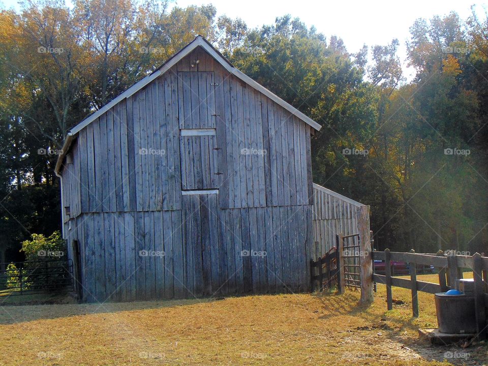 An old barn on a Sunday afternoon during  the Autumn season.