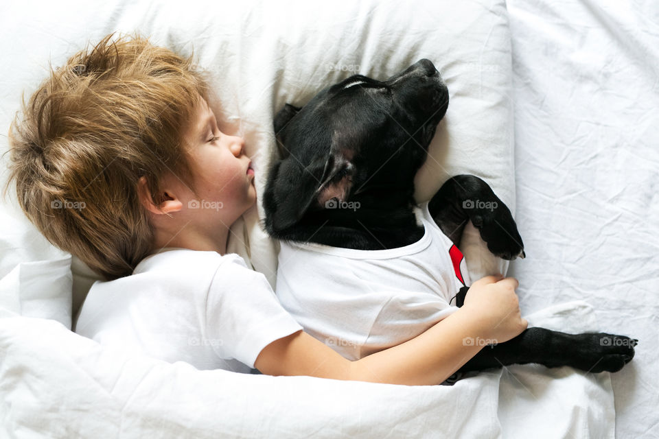 Baby and dog sleeping in bed