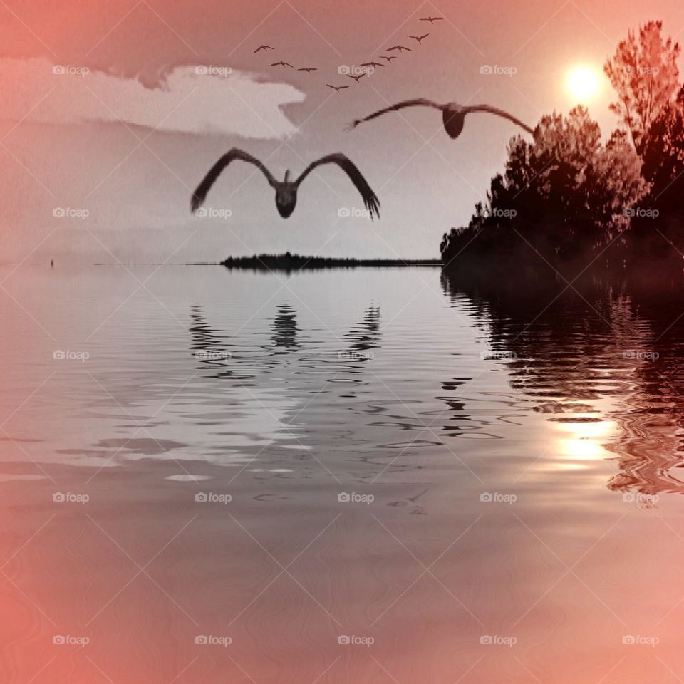 Birds view over water