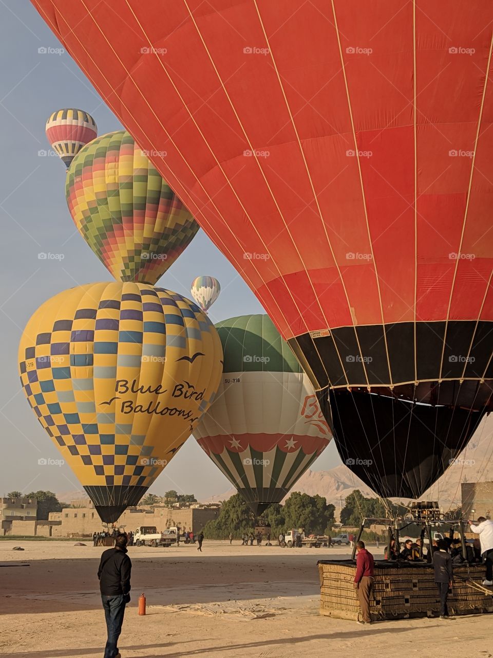 Hot-air balloons launching in Luxor, Egypt