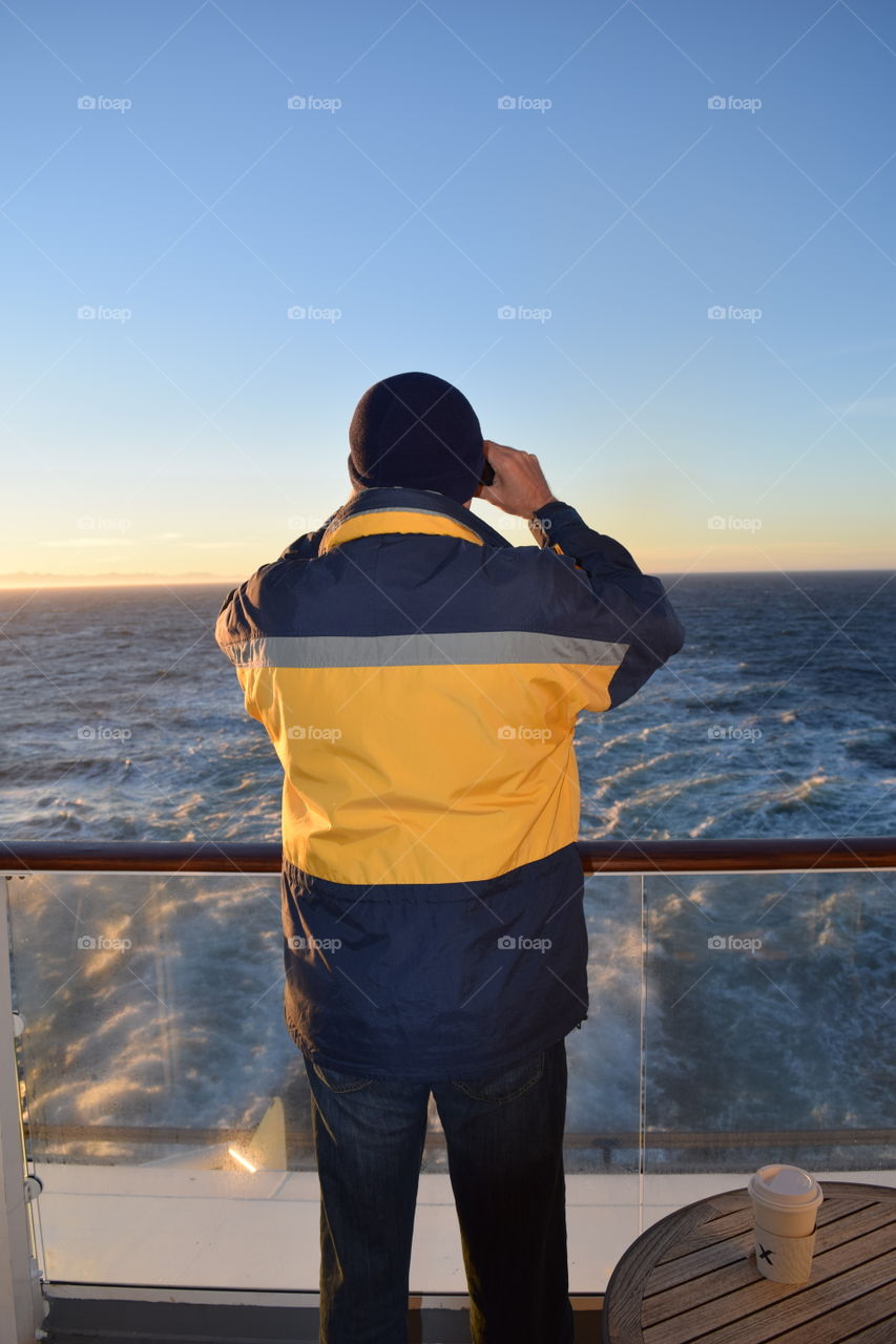 Where are the whales?