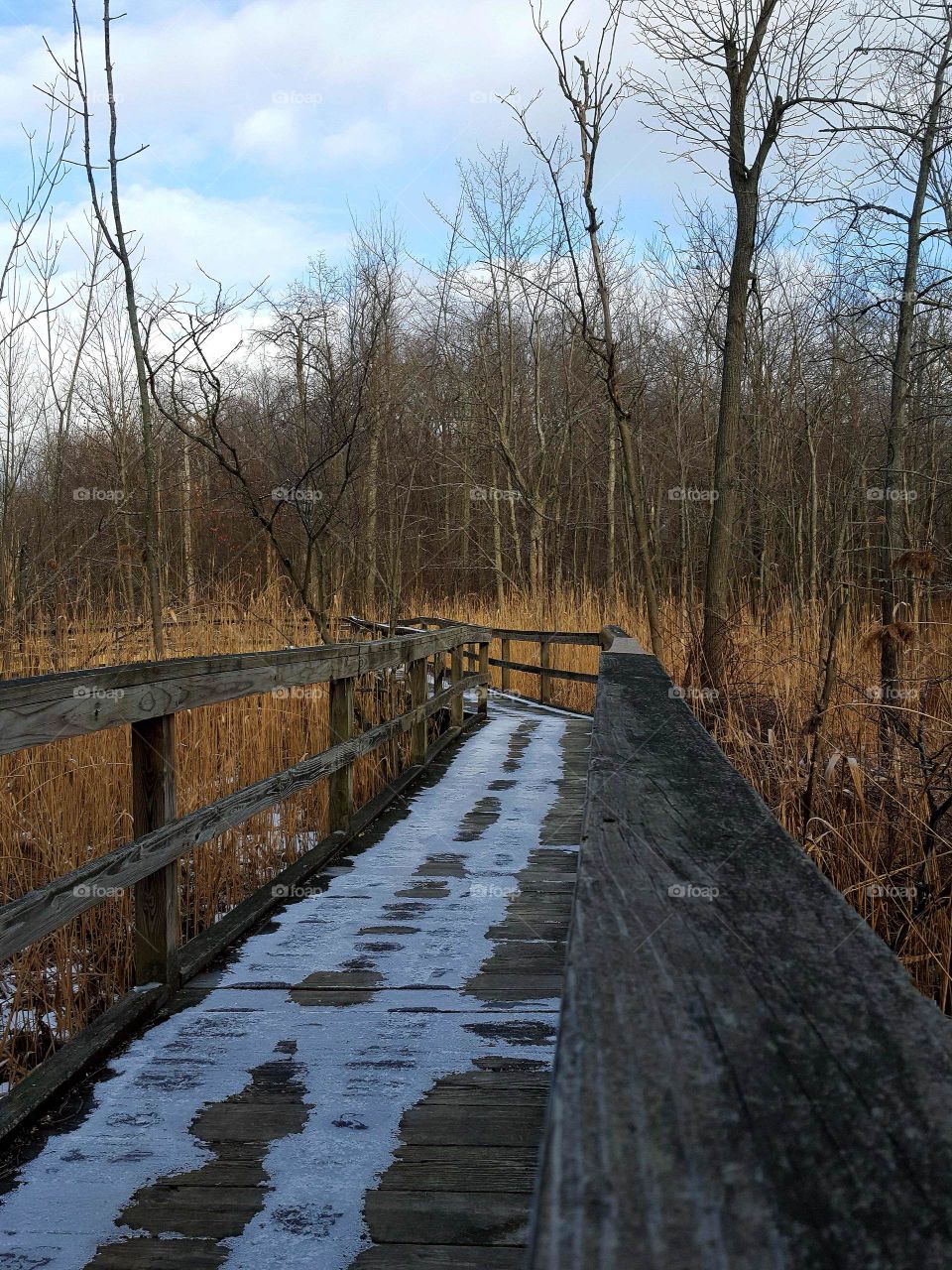 boardwalk