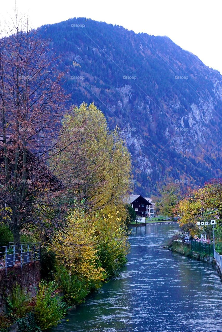 Autumn#colors#leaves