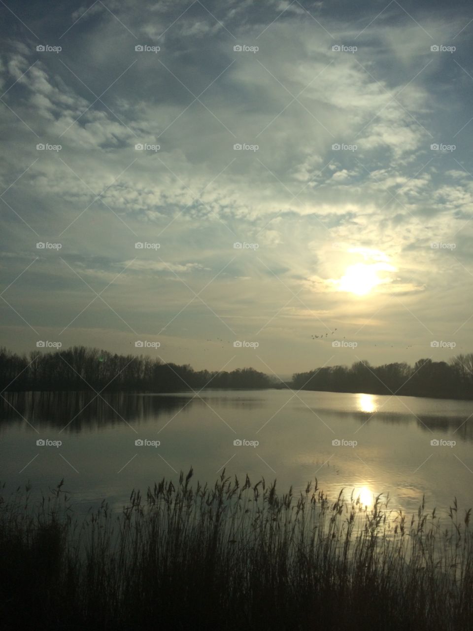 On the way to Vienna