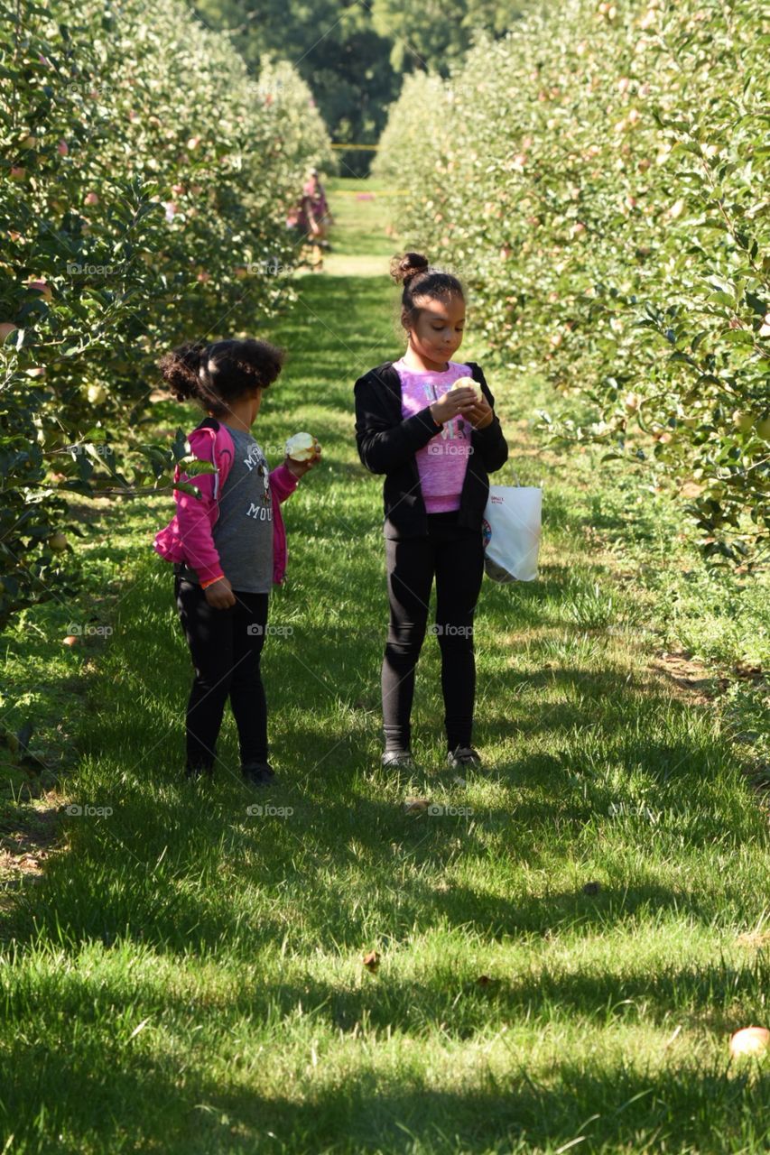 Apple picking , family 