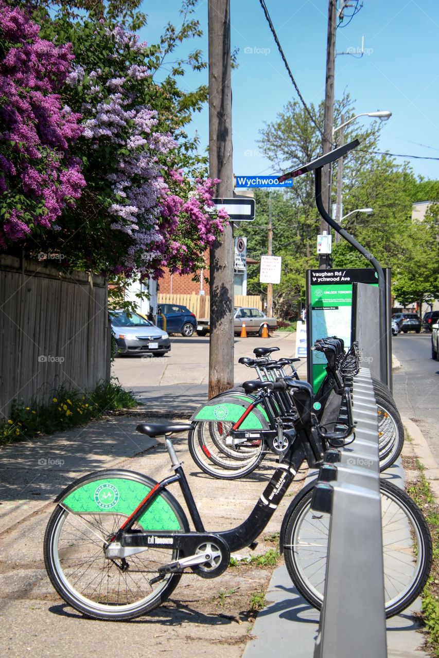 City bikes on a street