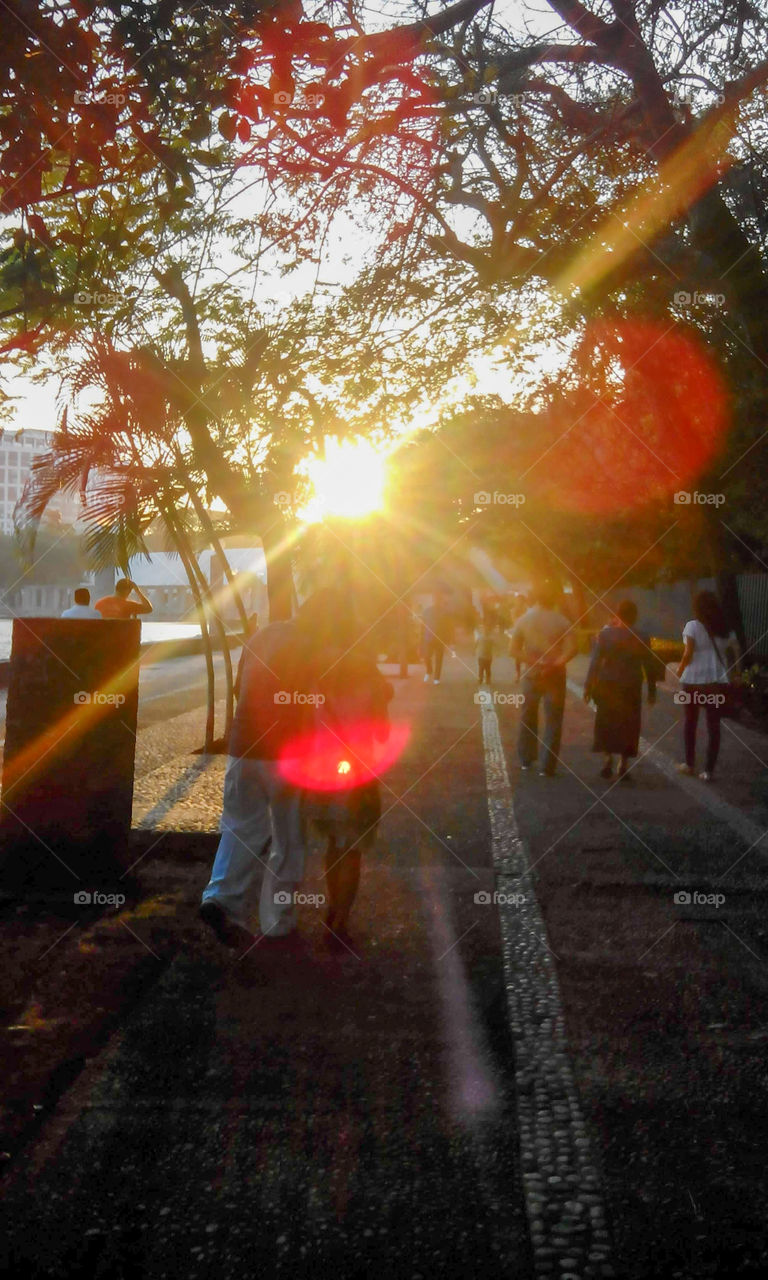 family sunset