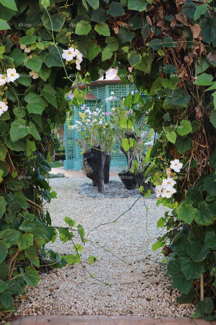 arco de plantas