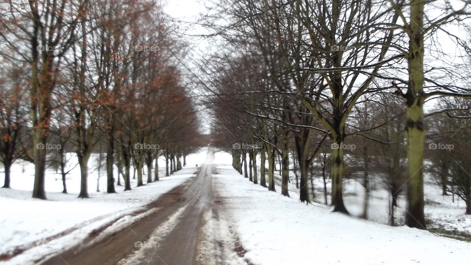 Snowy Road