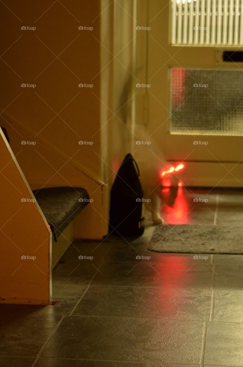 Ghost cat with laser eyes.