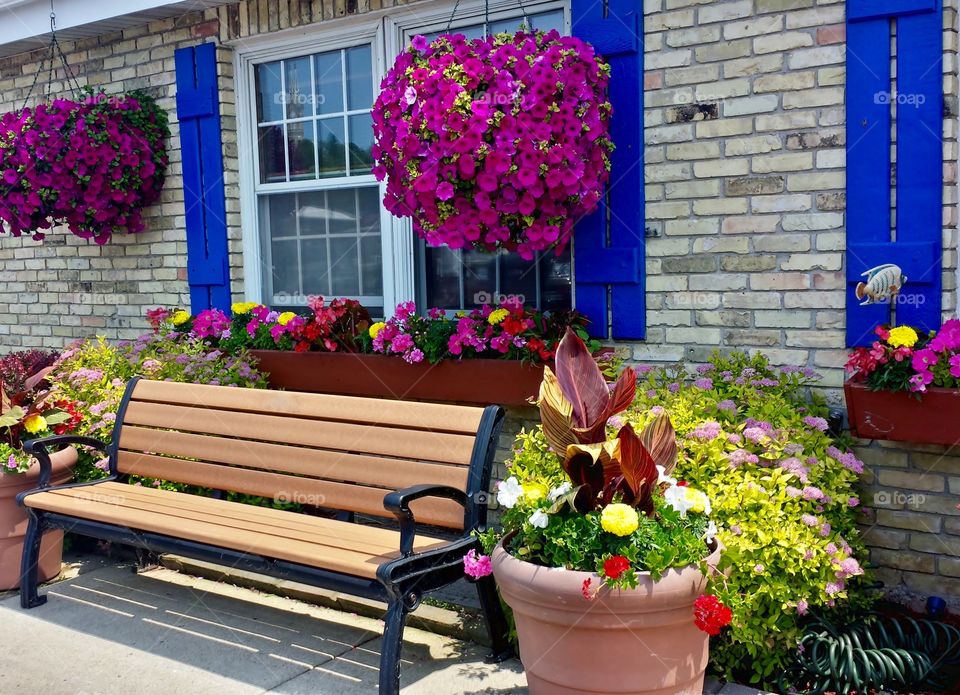 Buildings. Flowerful