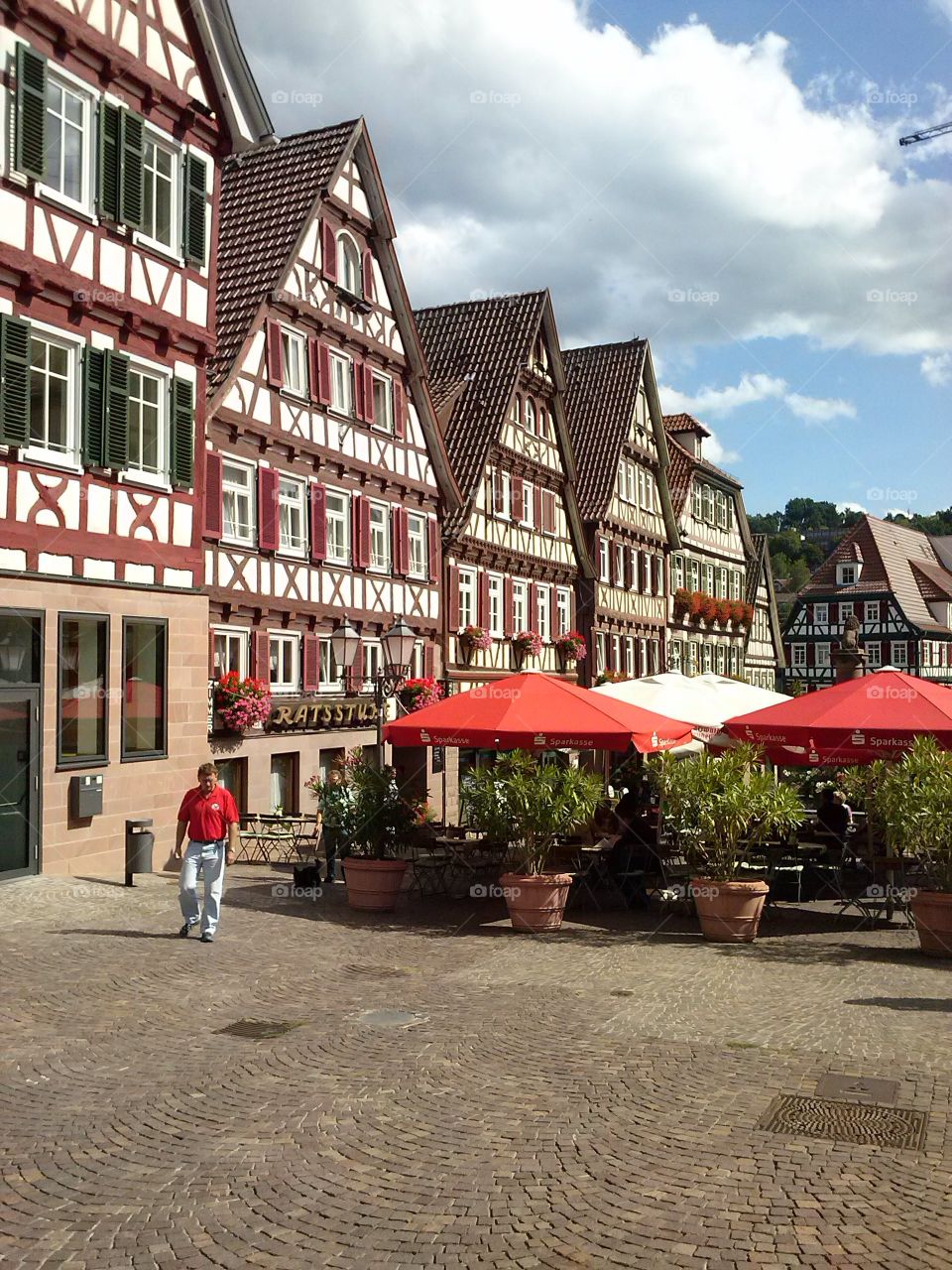 Calw