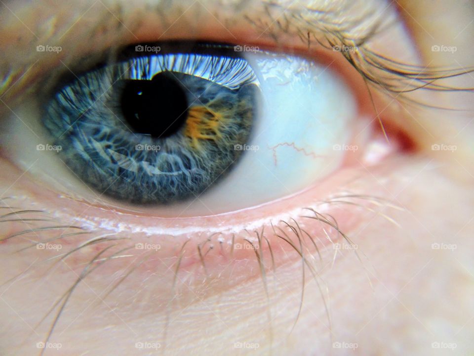 Close-up of gray eyes