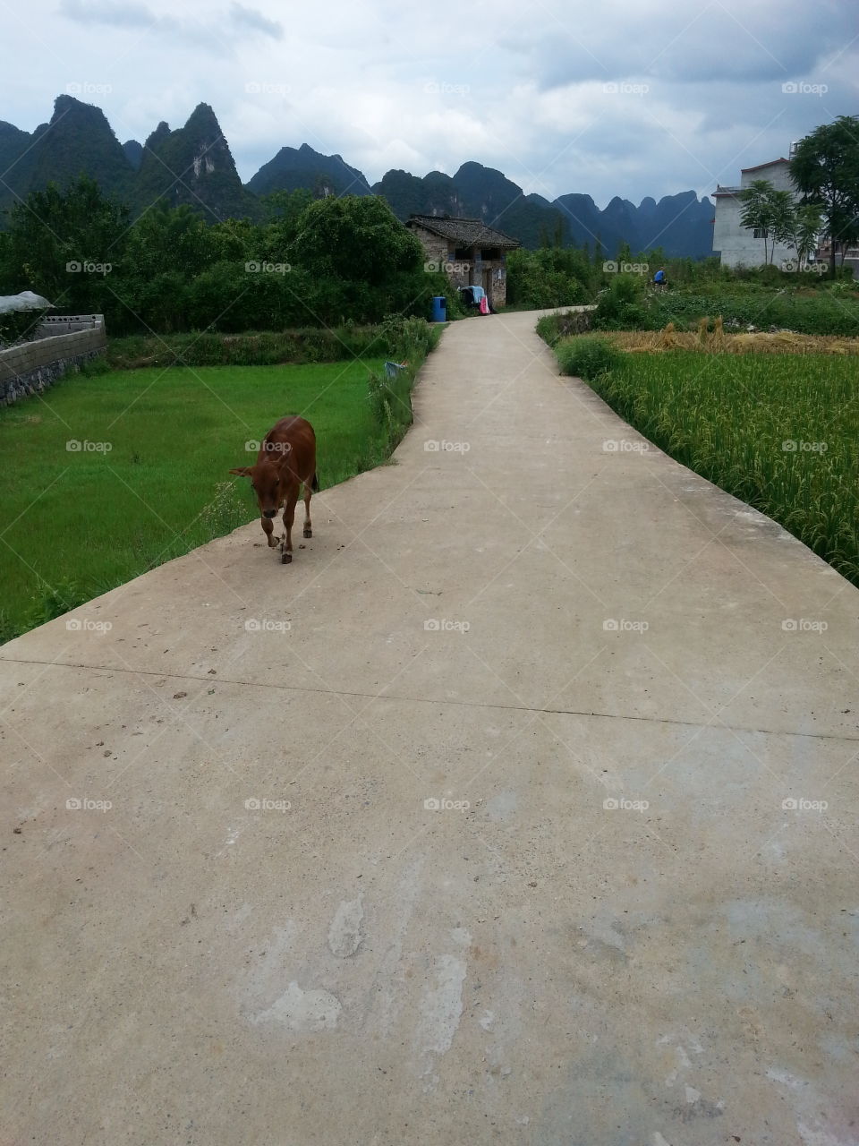 Peaceful village in China