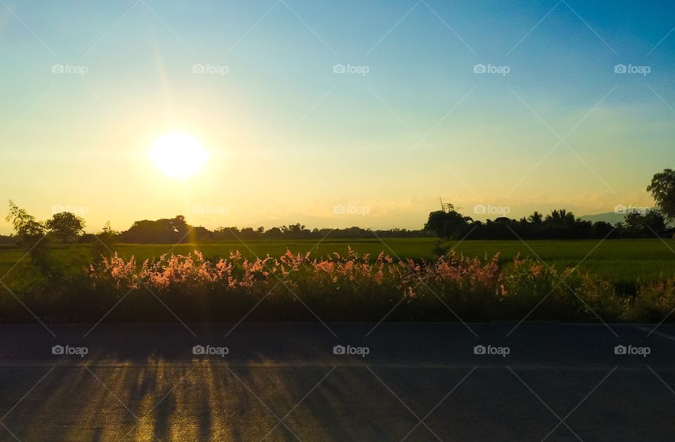 Landscape view of road side with grass and sunny day - magical sunshine reflect on road 