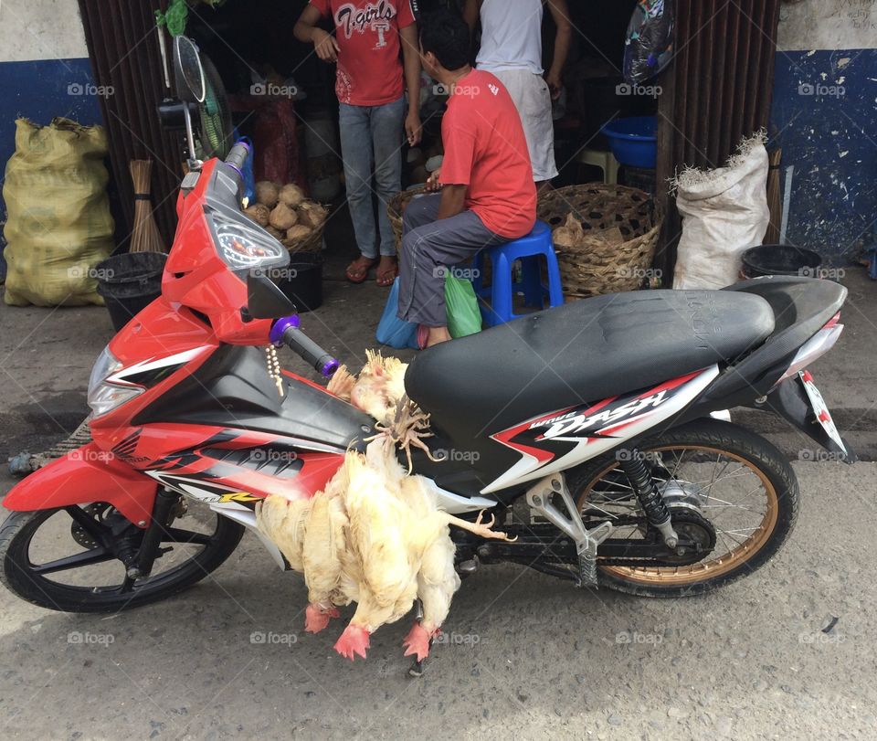 Motorcycle loaded down with chickens in a roadside market in Cebu, Philippines. 
