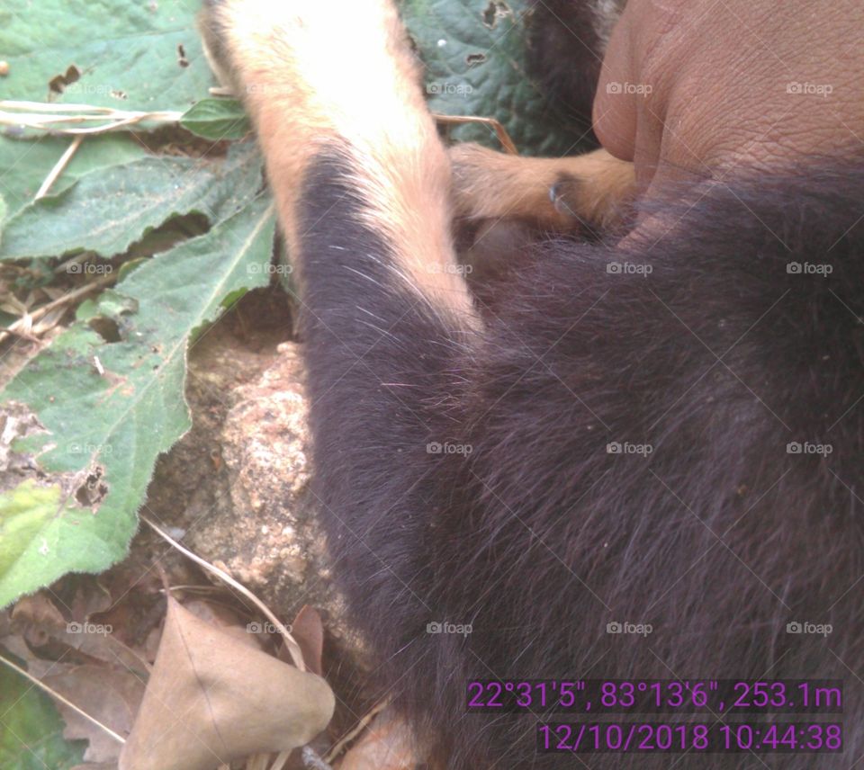 Happy Pat with solid gold.