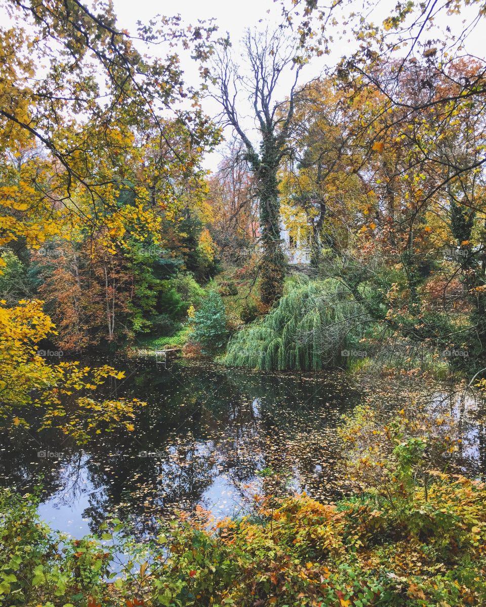 Berlin autumn