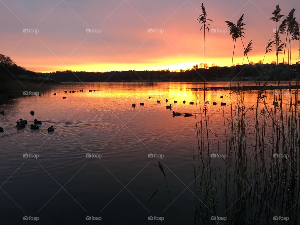 Sunset, Water, Reflection, Dawn, Lake