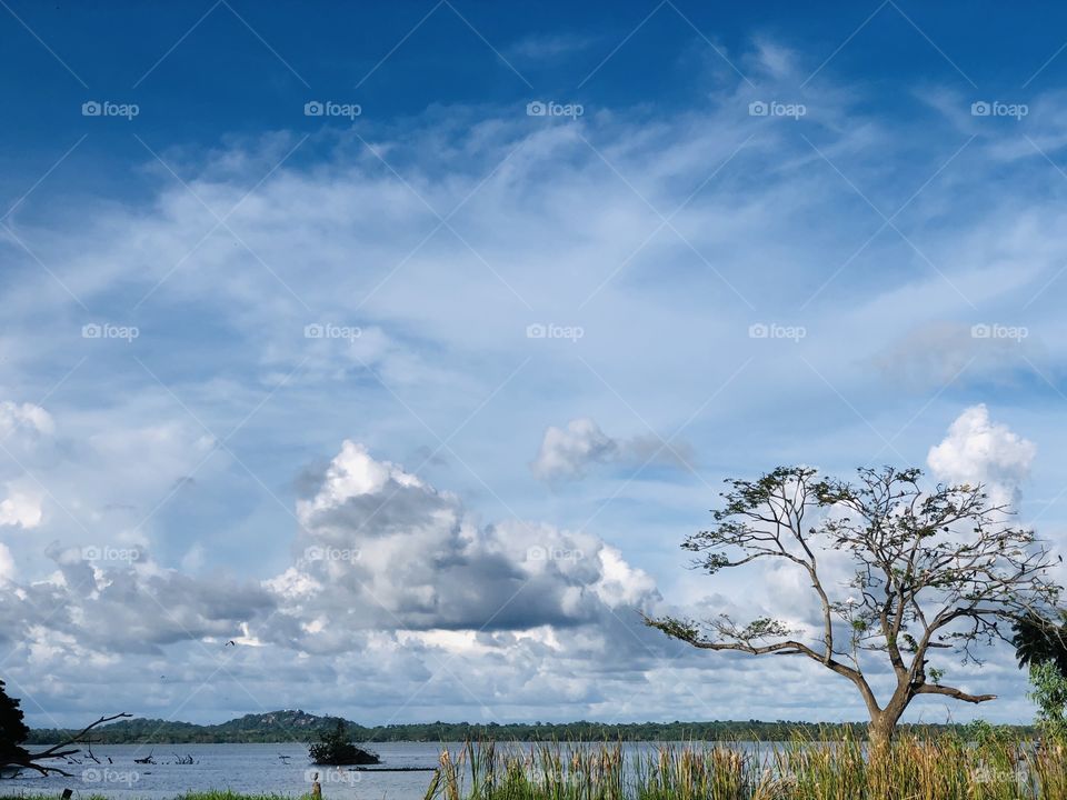 Lake View Home Environment Beautiful Nature