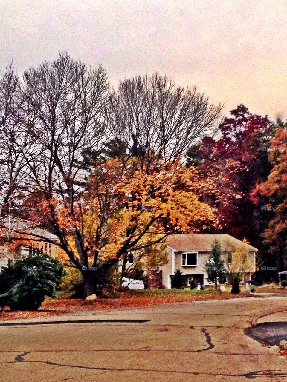 Autumn in New England