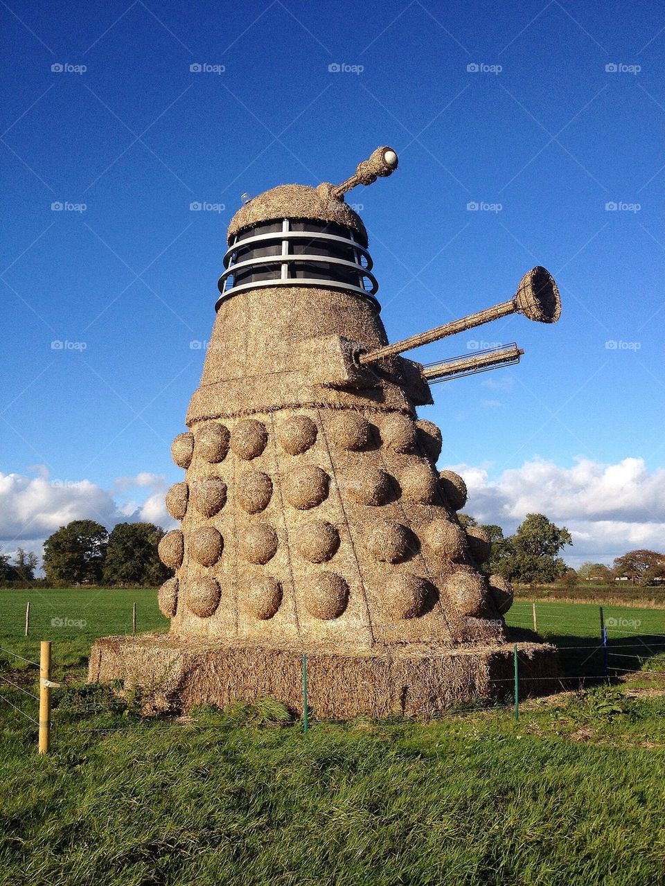 Straw DALEK