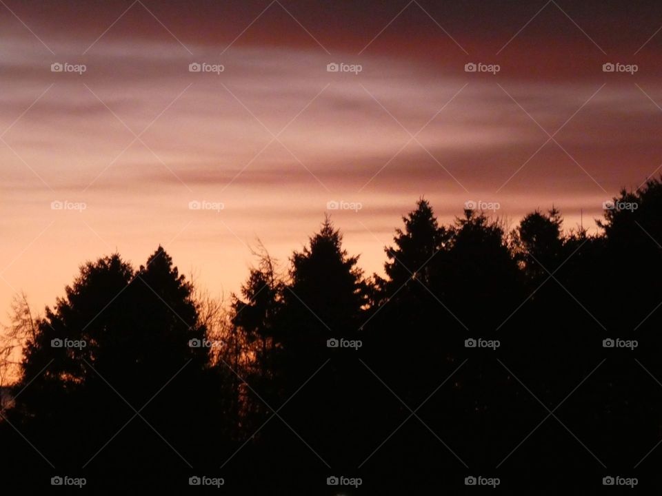 Red sky over trees