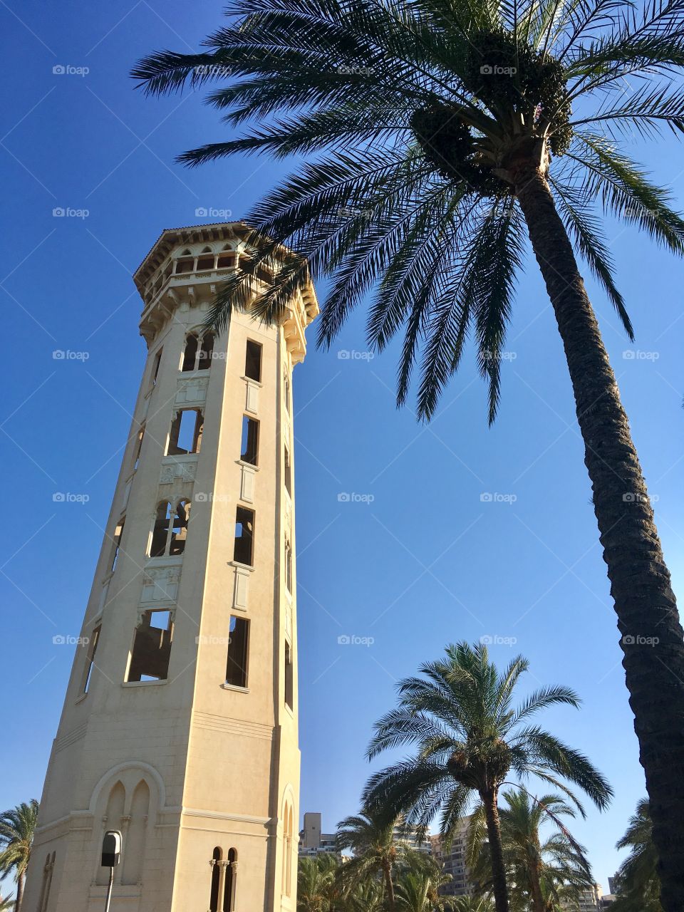 Tower and palms
