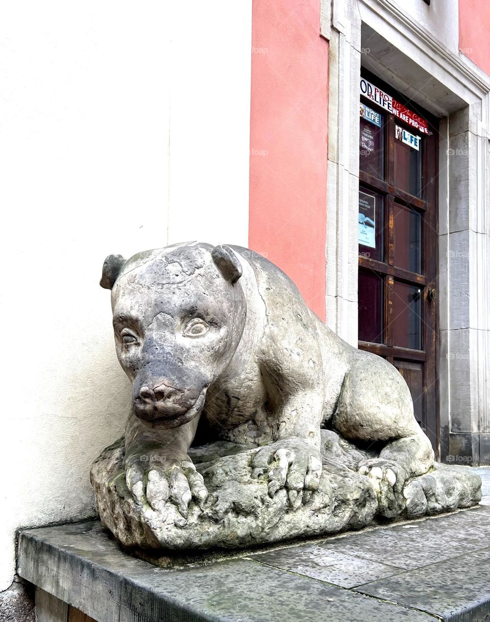 Скульптура медведя в Варшаве. Крупным планом скульптура медведя, архитектурная деталь в Варшаве