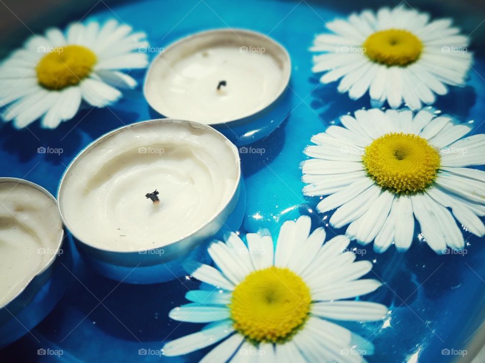 Daisy flowers and candles in blue water