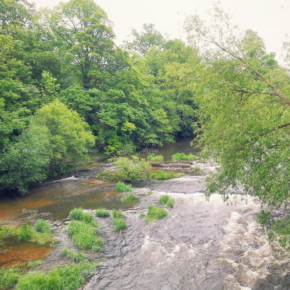 River Hafren in Newtown Powys,  early summer