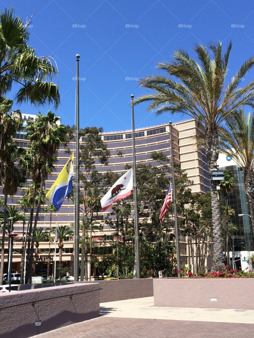 U.S. , California and City of Long Beach Flags at half staff 