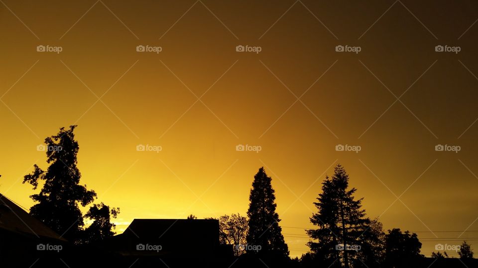 totally yellow sky sunset